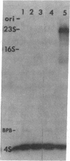 1072