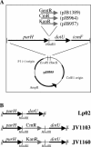 FIG. 1.