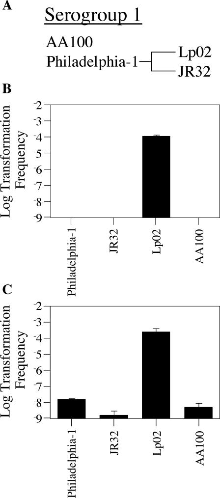 FIG. 8.