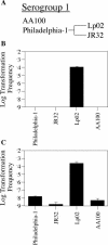 FIG. 8.
