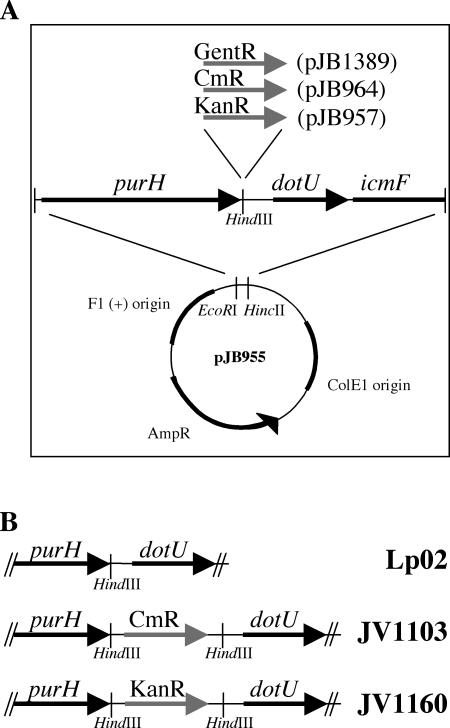 FIG. 1.