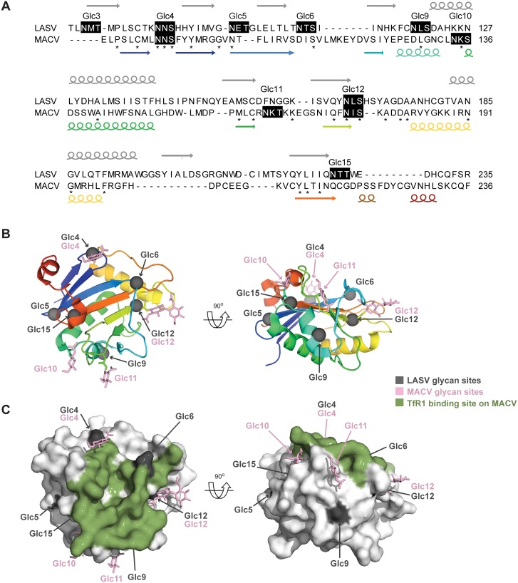 Fig 6