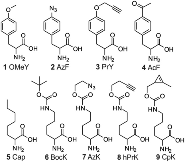 Fig. 2