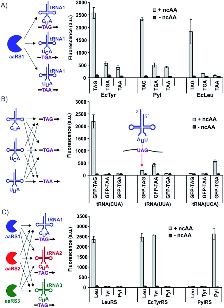 Fig. 3