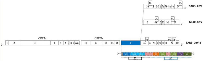 FIGURE 2