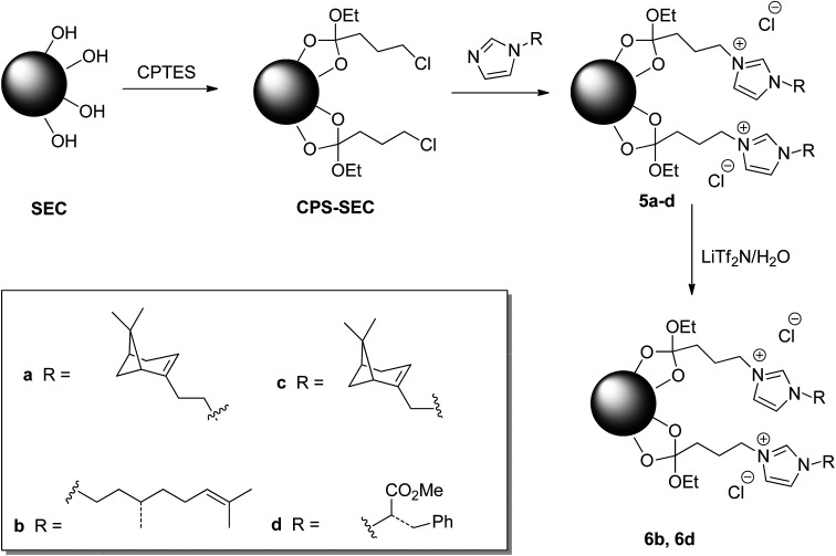 Scheme 1