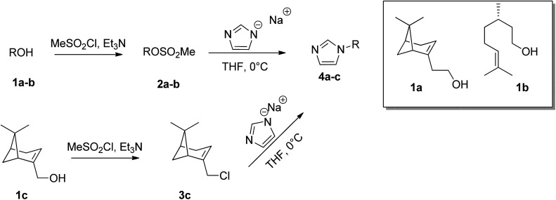 Scheme 2