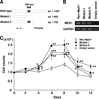 FIG. 11.