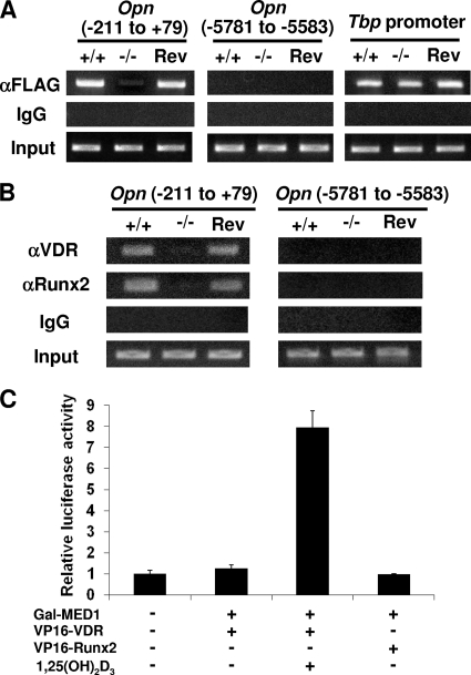 FIG. 10.