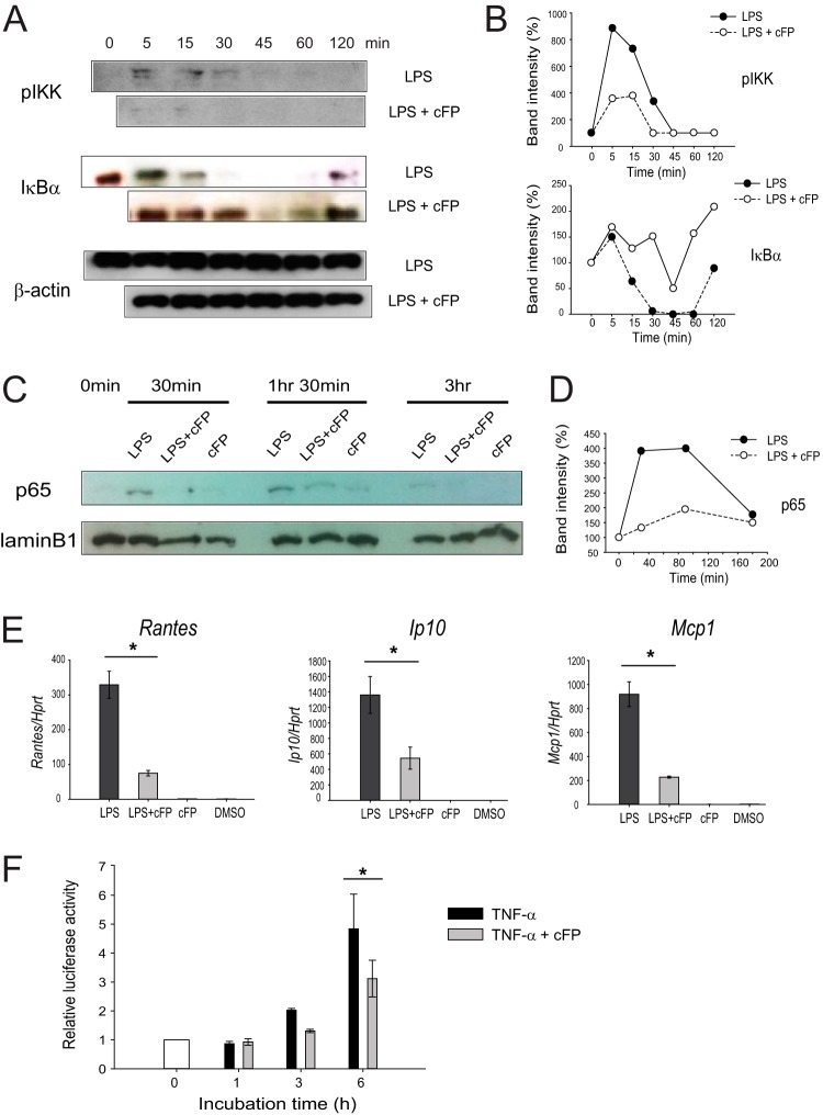 FIG 6