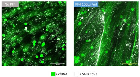 graphic file with name RTH2-5-e12554-g039.jpg