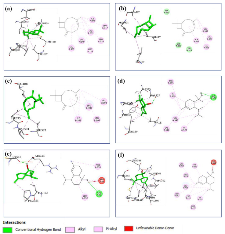 Figure 10