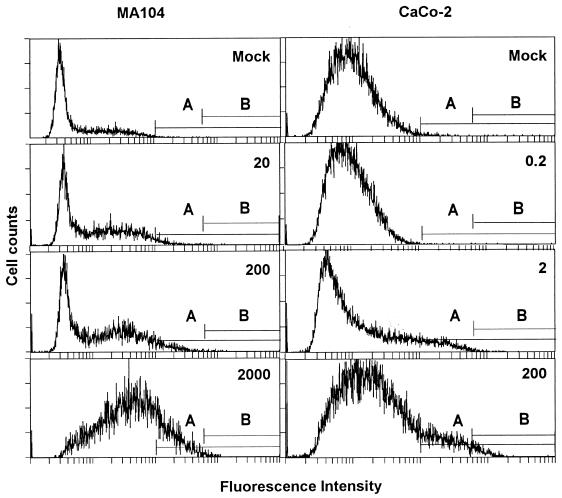 FIG. 1