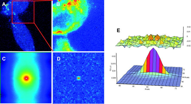 FIGURE 3