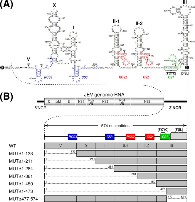 FIG. 1.