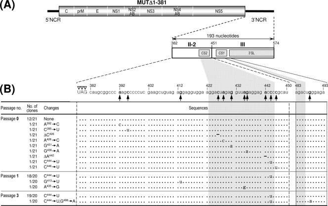 FIG. 8.