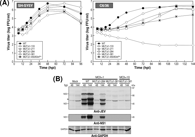 FIG. 12.