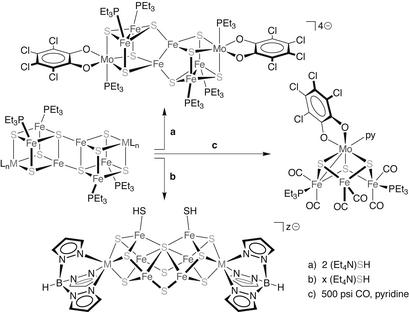 Scheme 4