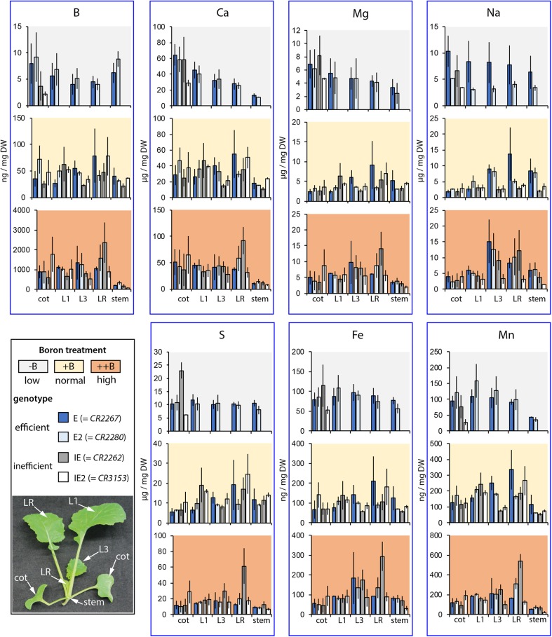 FIGURE 4