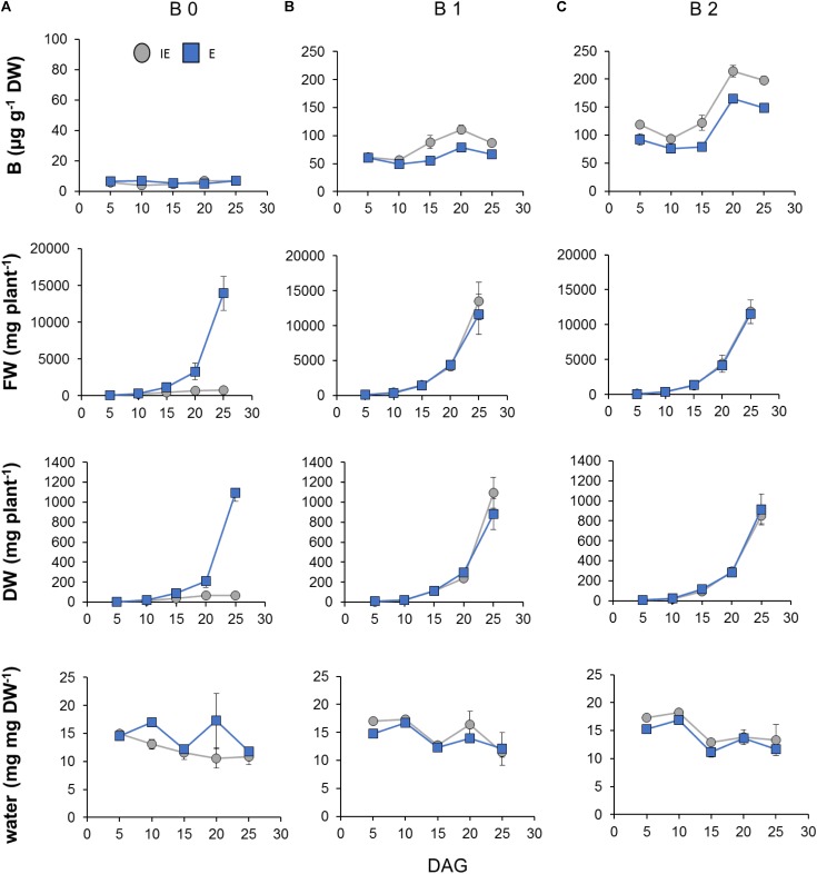 FIGURE 10