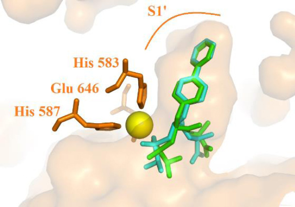 Fig. 5