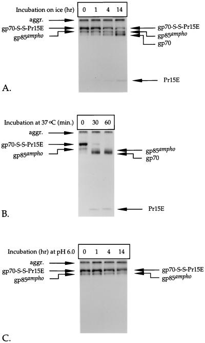 FIG. 5