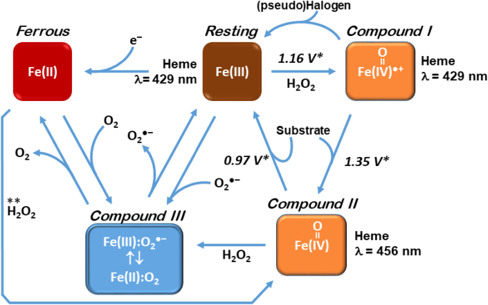 Fig. 4