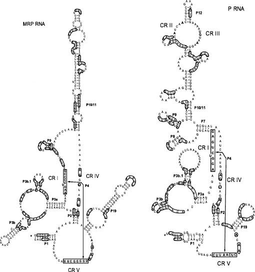 FIGURE 4.