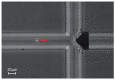 Figure 24