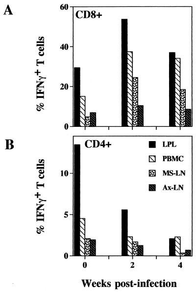 FIG. 7