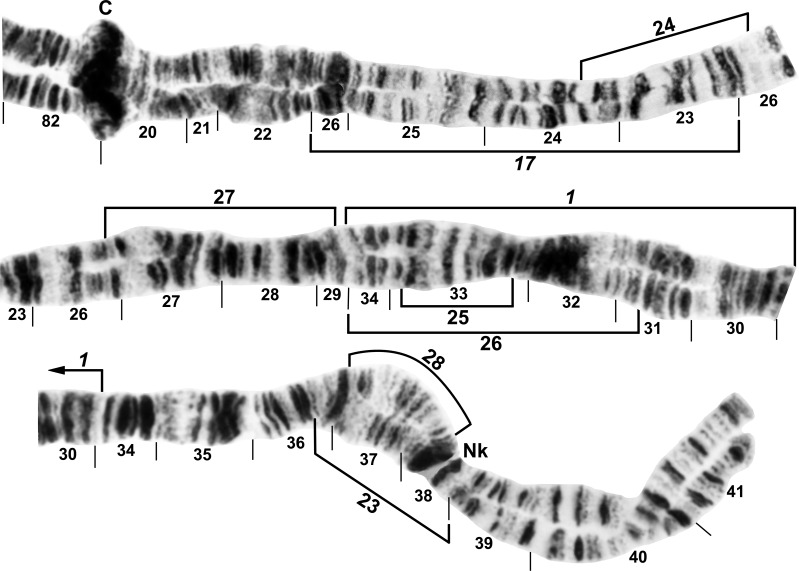 Fig 3