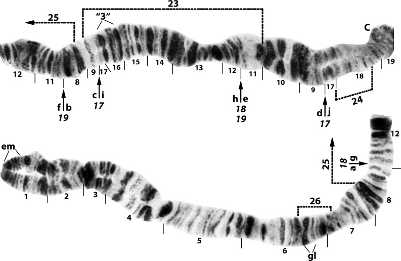 Fig 1