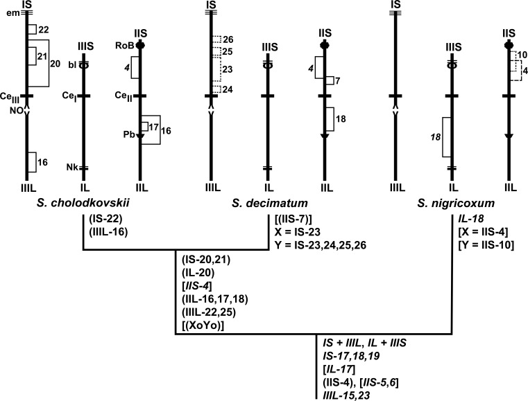 Fig 11