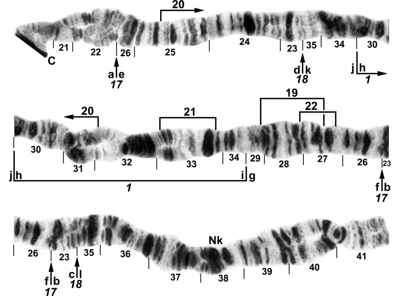 Fig 4