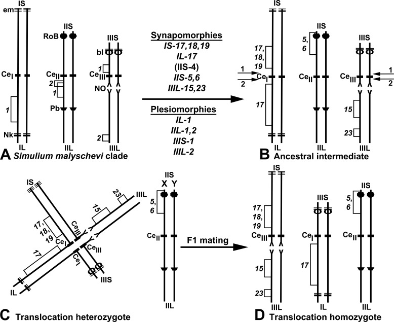 Fig 10