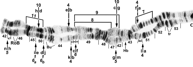 Fig 5