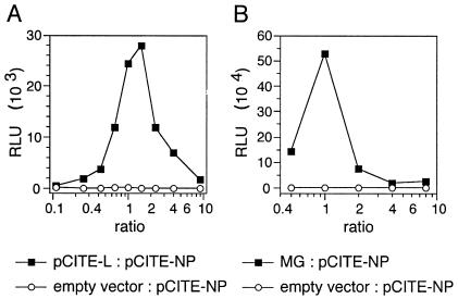 FIG. 5.