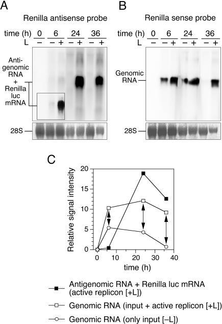 FIG. 7.