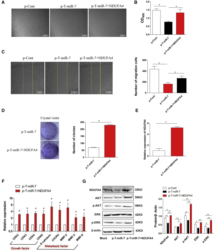 Figure 6