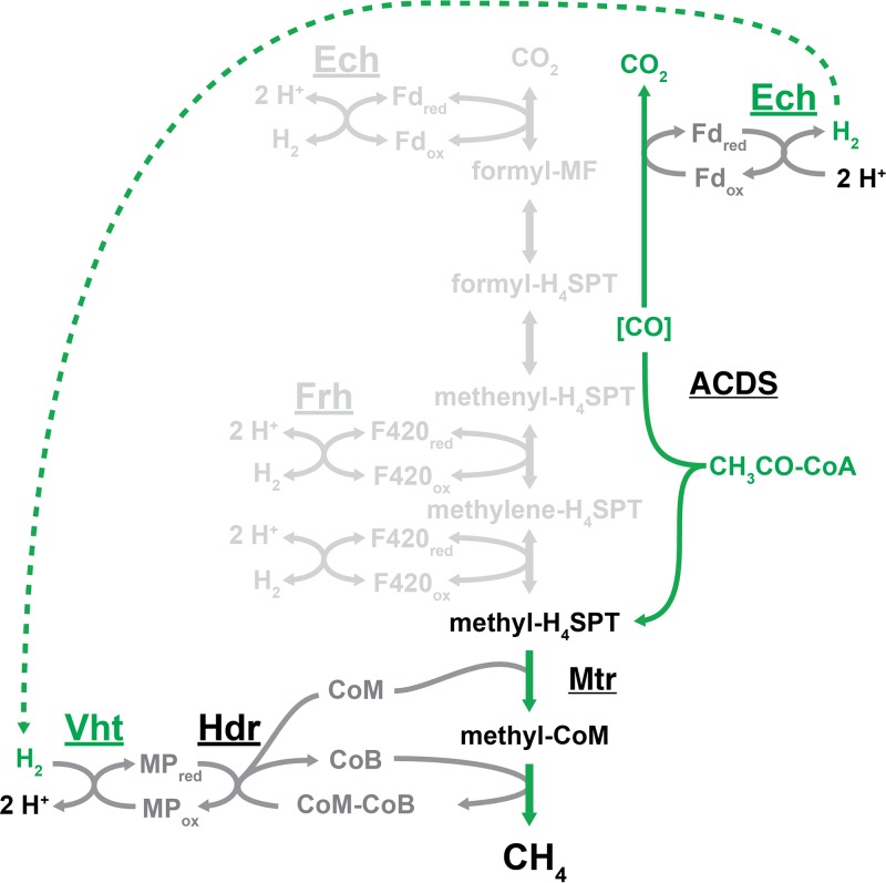 FIG 3