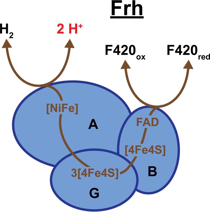 FIG 9