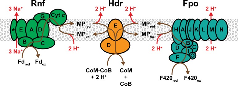 FIG 6