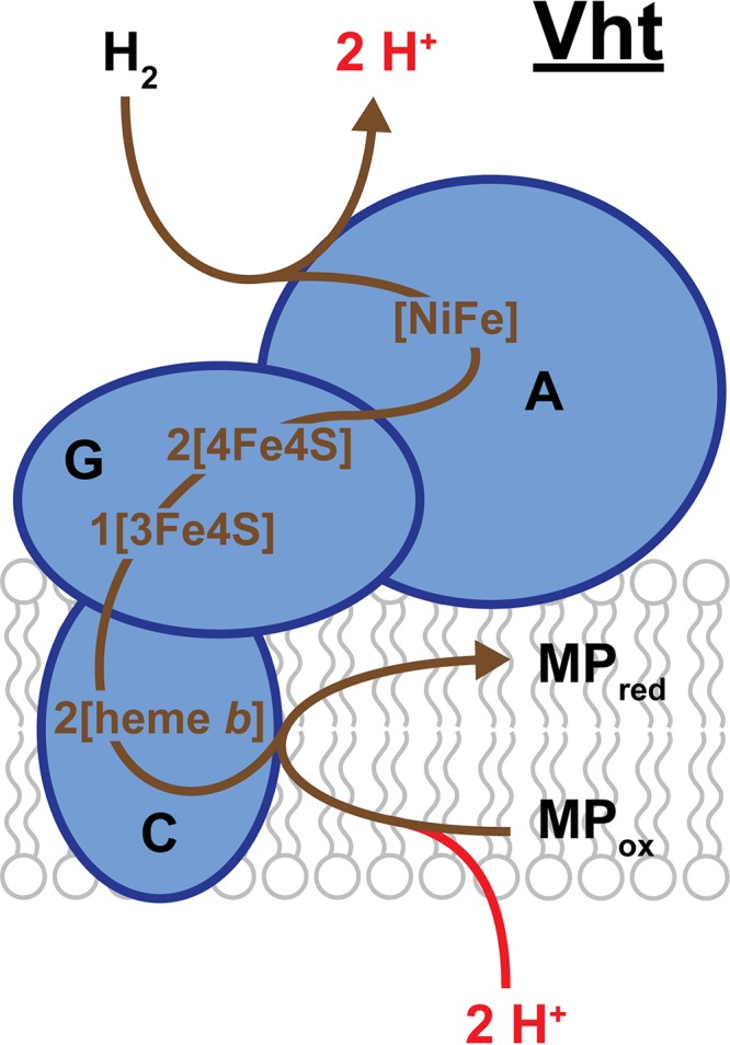 FIG 10