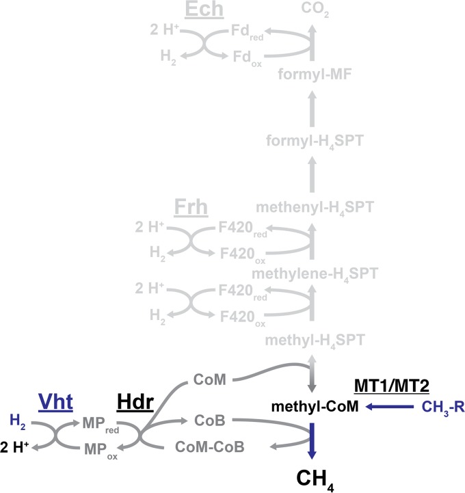 FIG 5