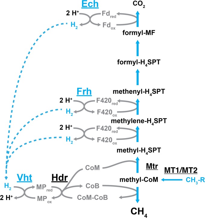 FIG 4