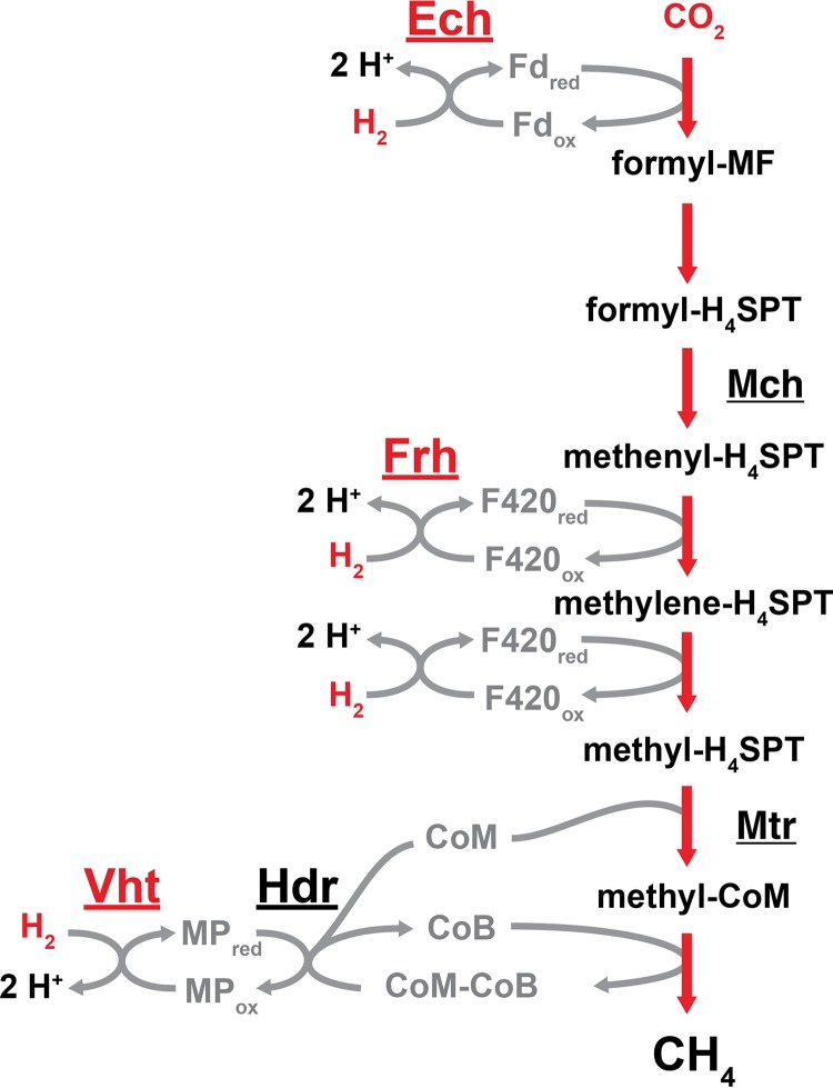 FIG 2