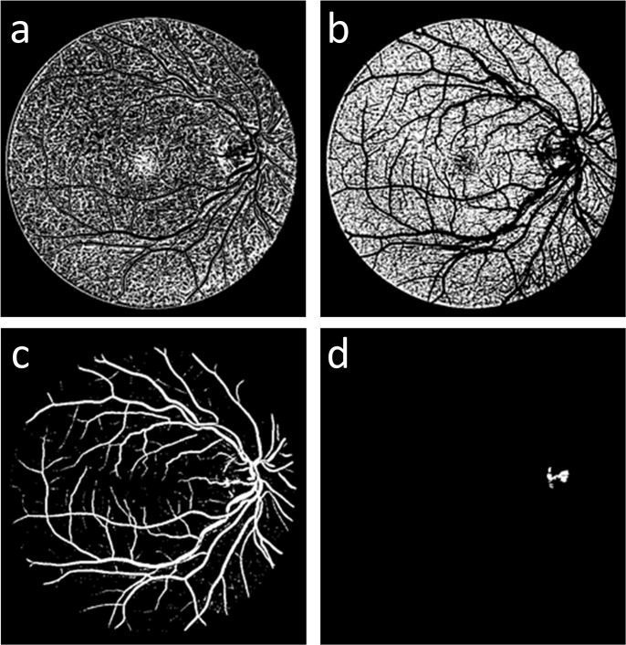 Fig 3