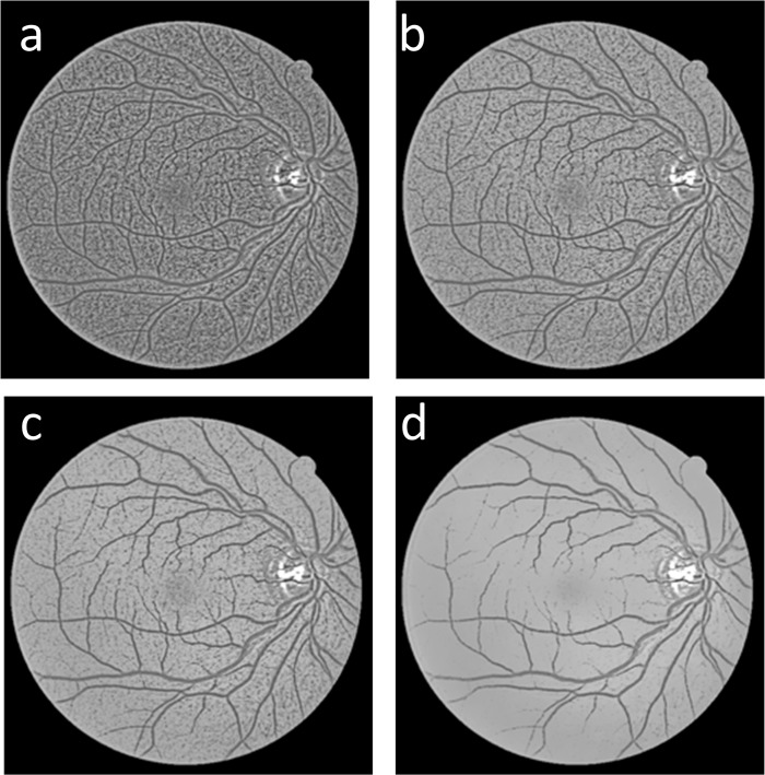 Fig 6