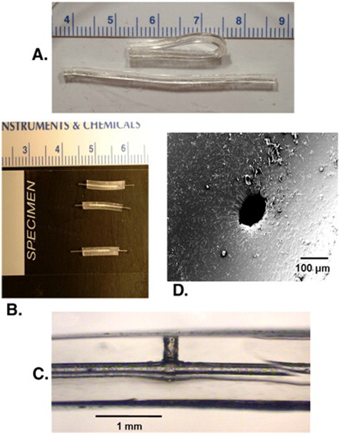 Fig. 5