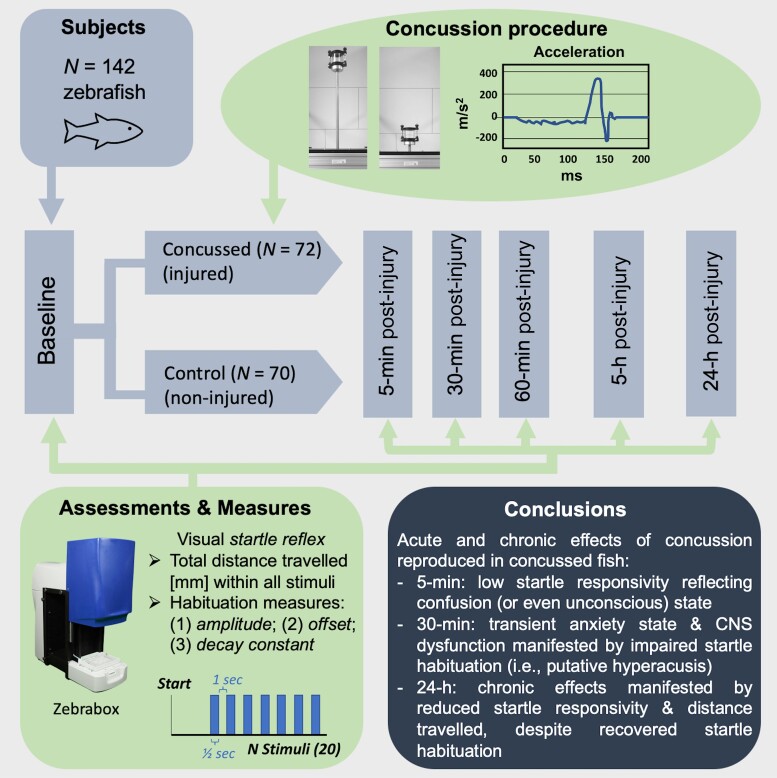 Graphical Abstract